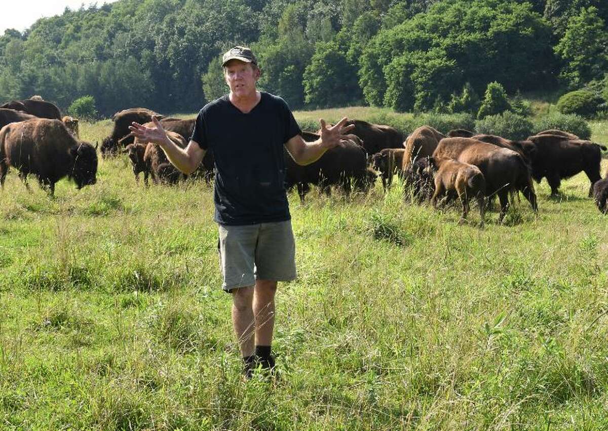 Brian Grubb talks about the 75 bison who escaped from his Bison Island on Monday, July 29, 2019 in Sharon Springs, N.Y. About a third of his bison escaped last week and have been roams rural upstate New York.