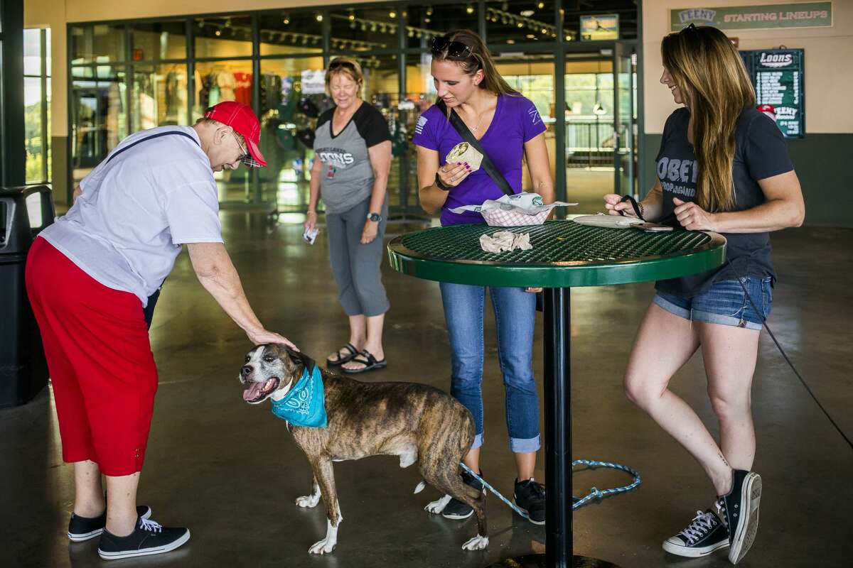 Mary Peck of Arkansas, left, pets a boxer pitbull mix named Spencer, as his owner Madison Mulder of Midland, center, and Kaity Arthur of Midland, right, watch during a game between the Great Lakes Loons and the Fort Wayne TinCaps during the Bark in the Park event on Tuesday, July 30 at Dow Diamond. (Katy Kildee/kkildee@mdn.net)