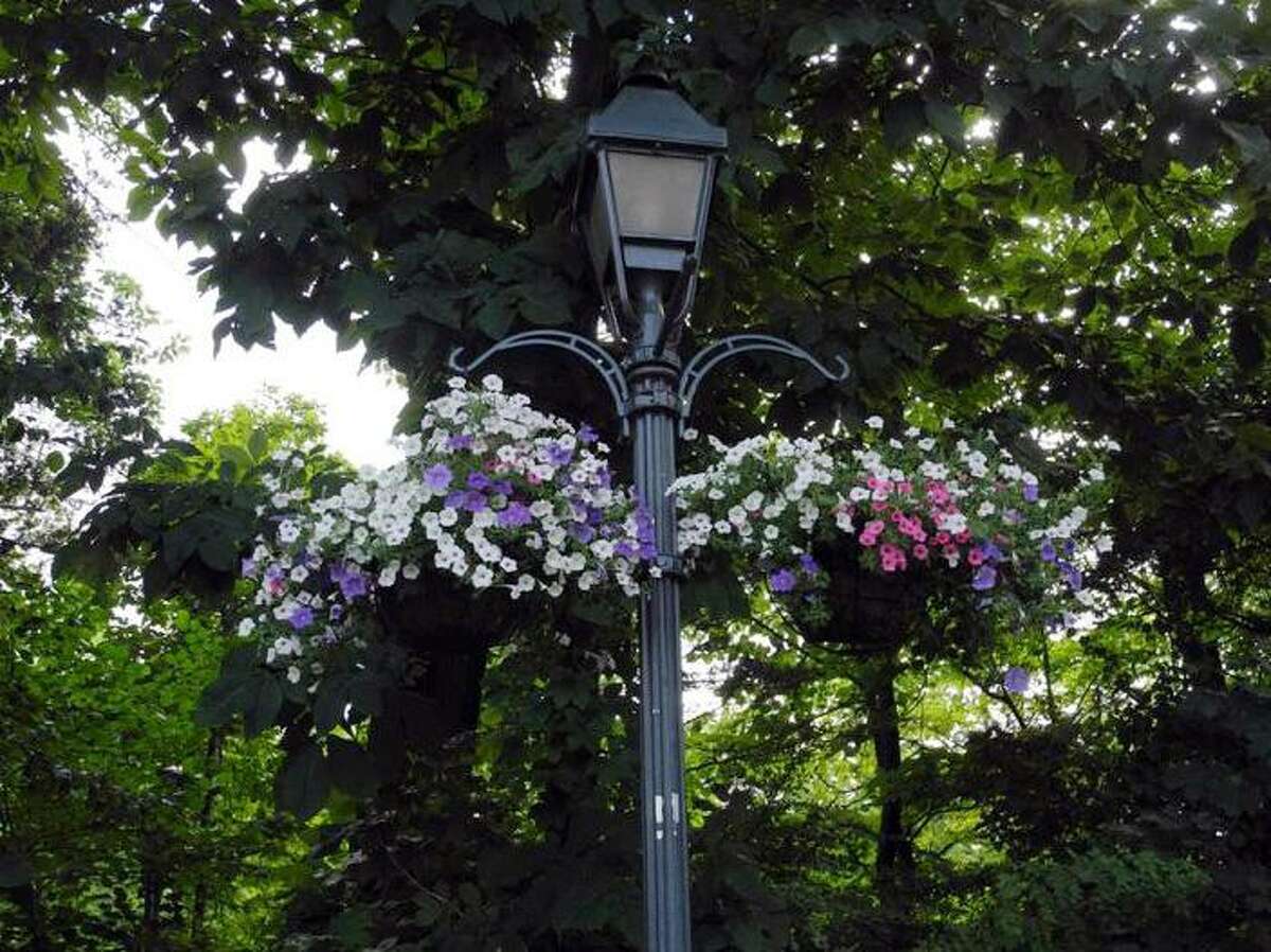 The flower baskets hanging from the lampposts in Wilton Center were placed there by the Wilton Garden Club and are cared for by town employees.
