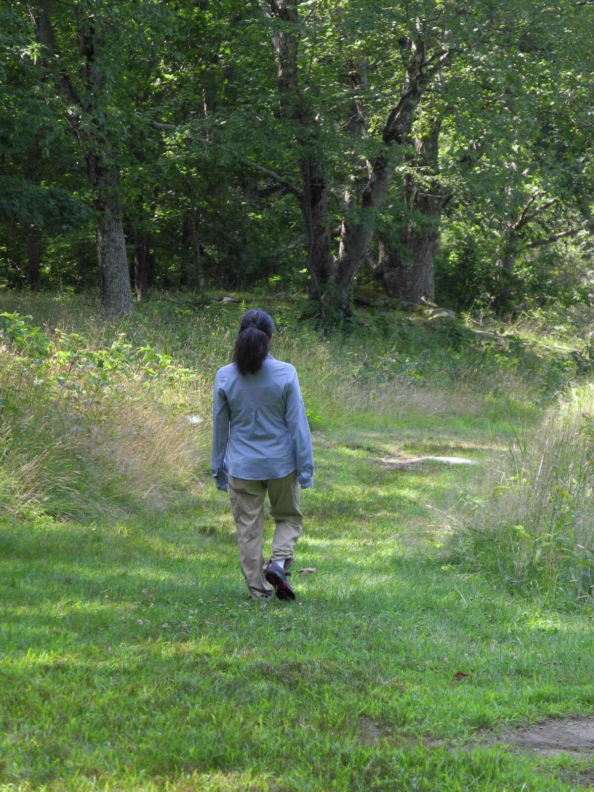 Forest bathing at Weir Farm