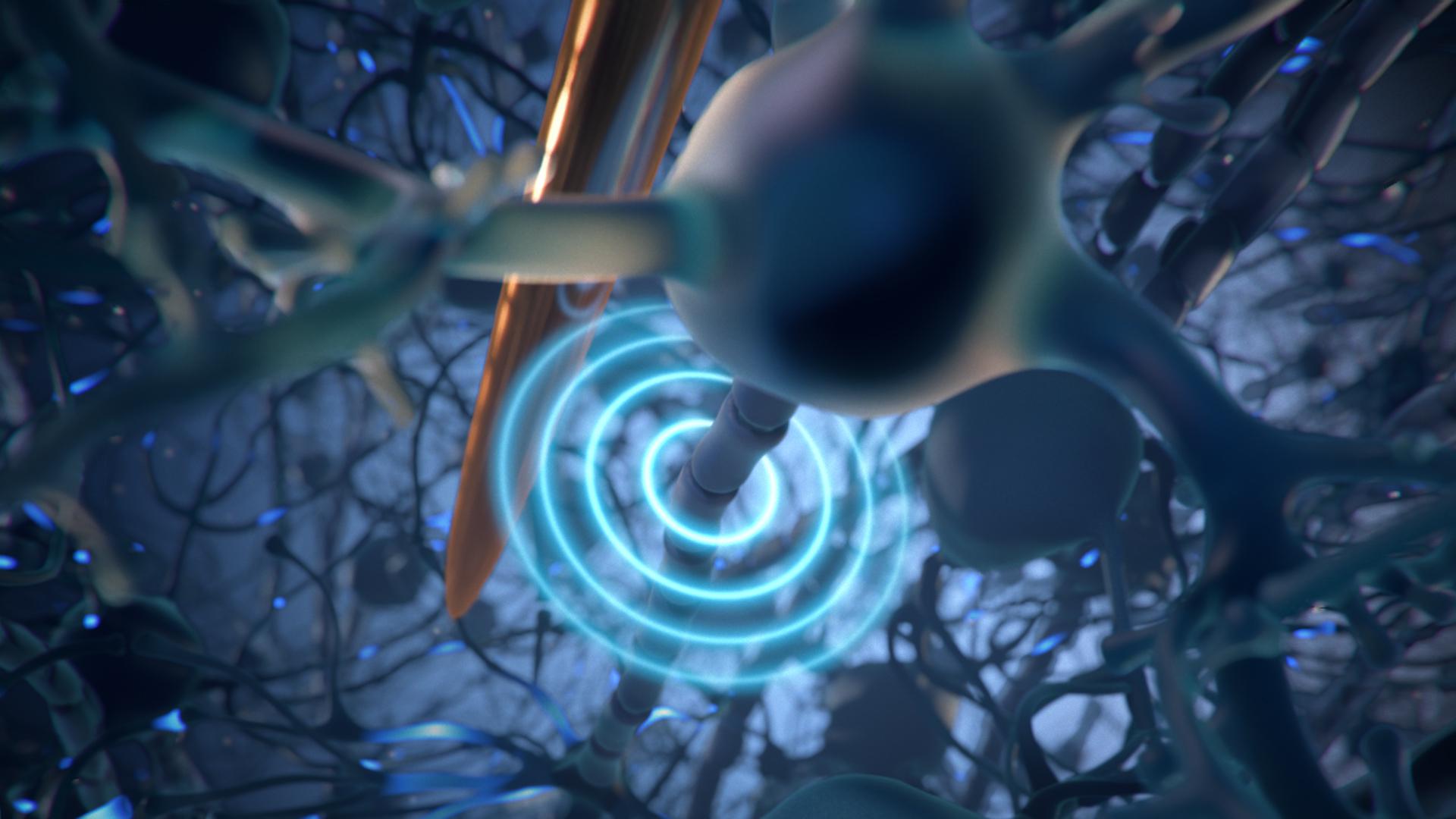 Art in the business world: CT animation finds place in Elon Musk project