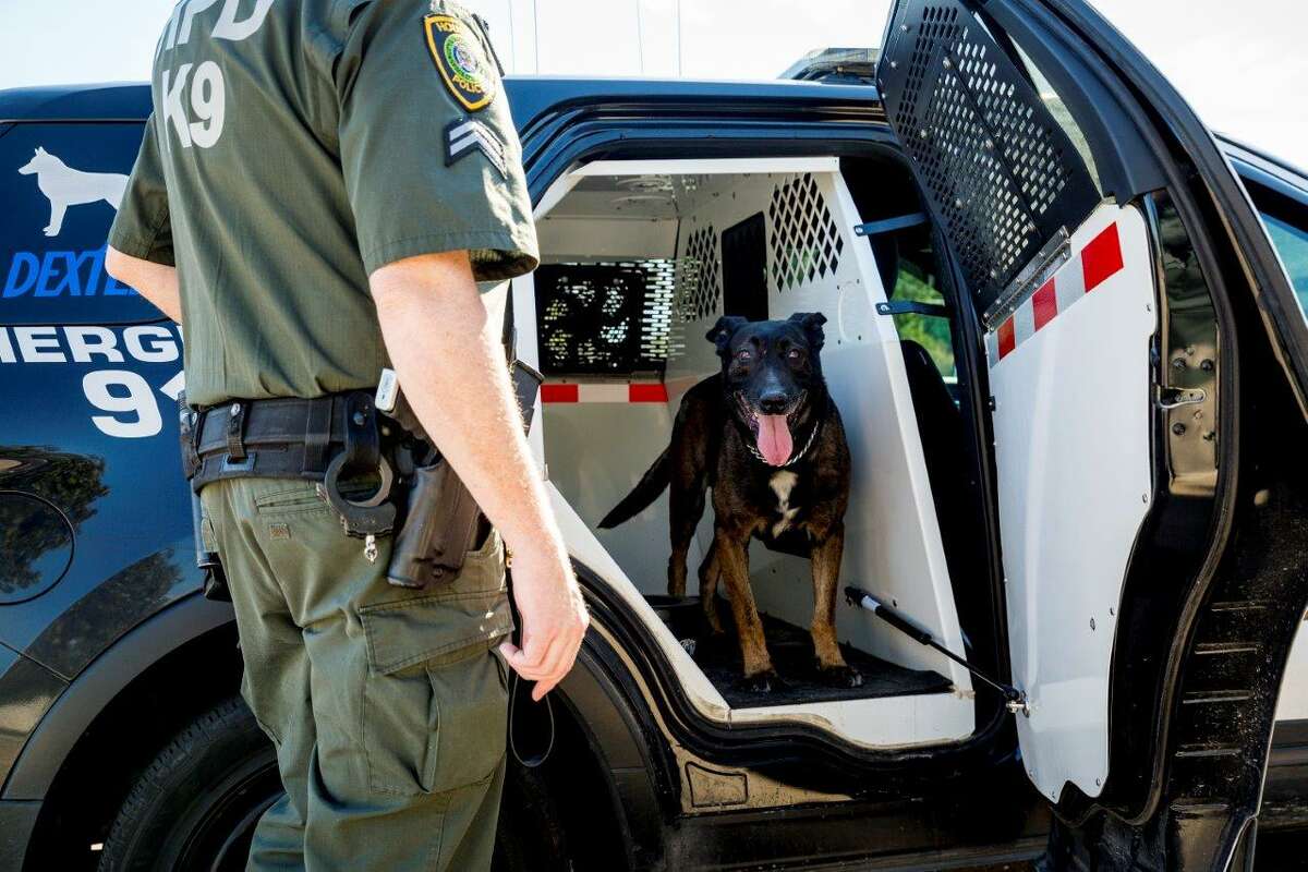 Meet The K9s Of The Houston Police Department