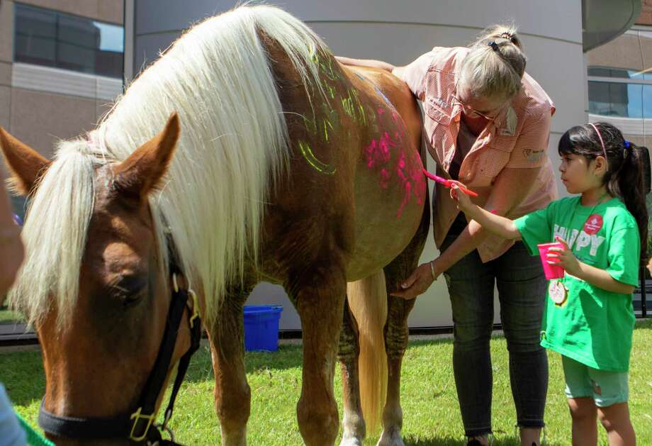 Samantha Torres uses non-toxic paint to draw on the side of Stormy the horse during a Camp For All 2U event Wednesday, July 31, 2019 at Texas Children’s Hospital The Woodlands. Photo: Cody Bahn, Houston Chronicle / Staff Photographer / © 2019 Houston Chronicle