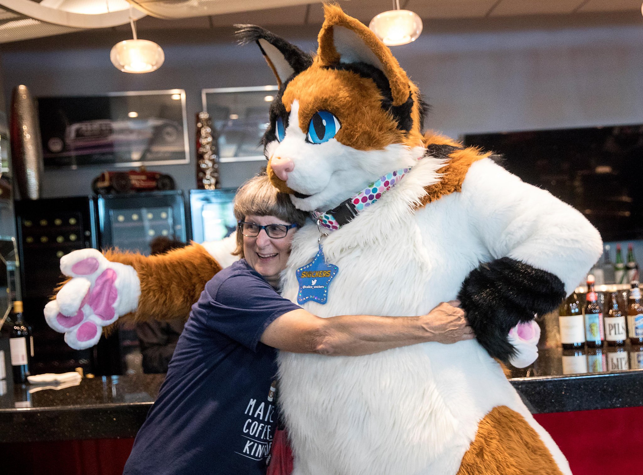 Feline Fans Lap Up Silicon Valley S First Cat Convention San