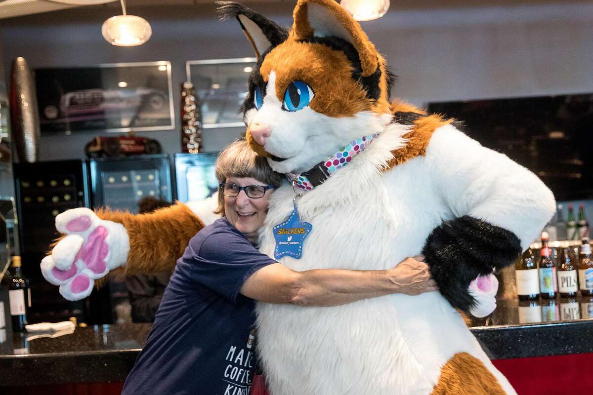 Feline fans lap up Silicon Valley's first cat convention, kitten yoga and all