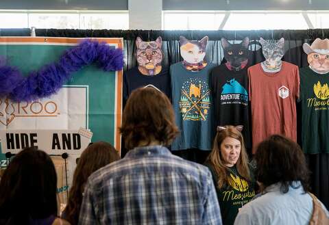Feline Fans Lap Up Silicon Valley S First Cat Convention San