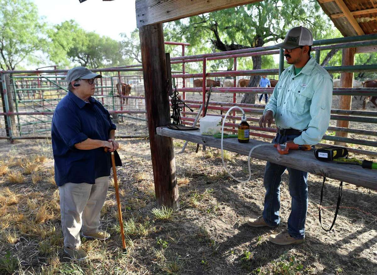Deadly fever ticks are infesting border cattle herds