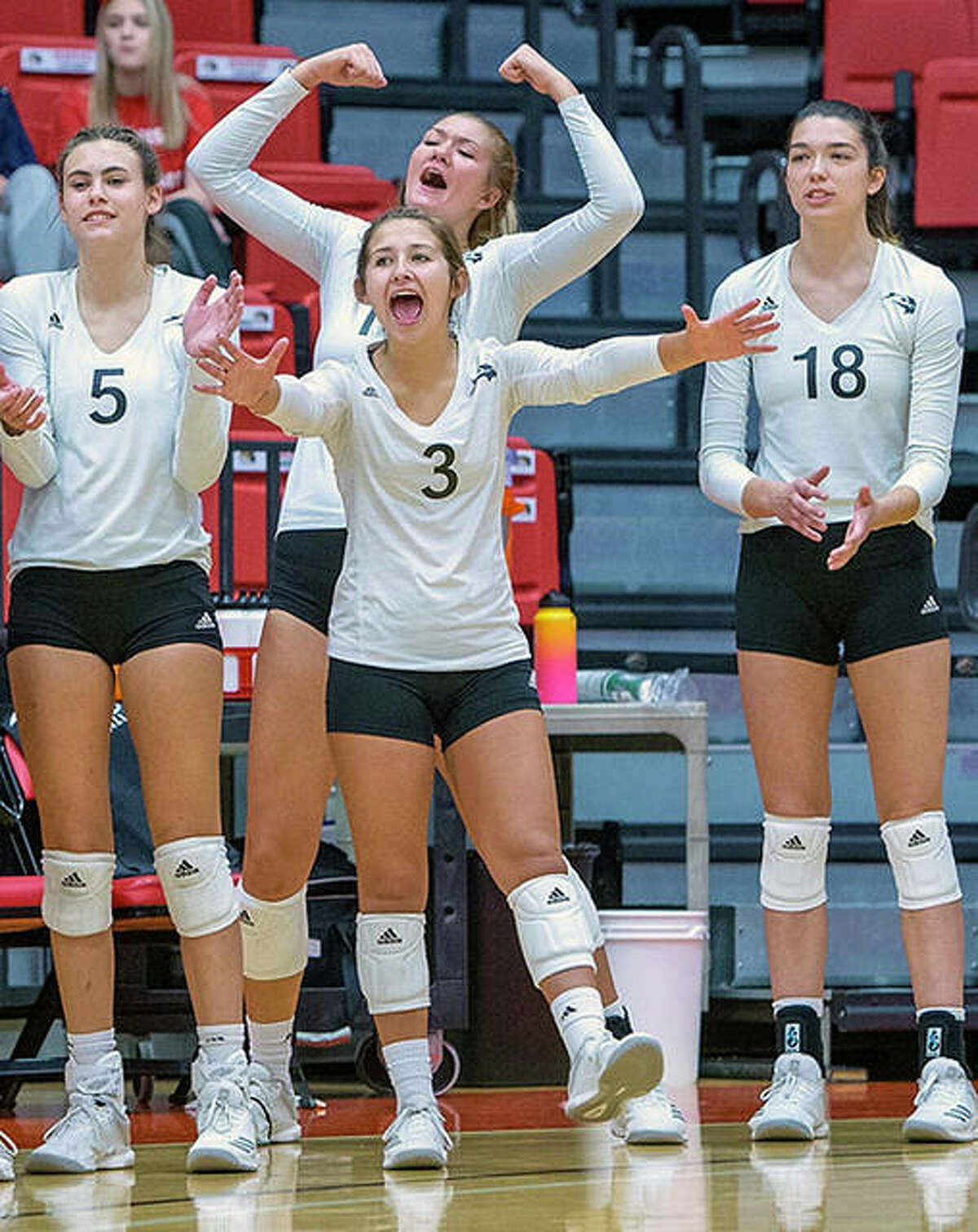 COLLEGE VOLLEYBALL SIUE schedule includes return of Cougar Classic