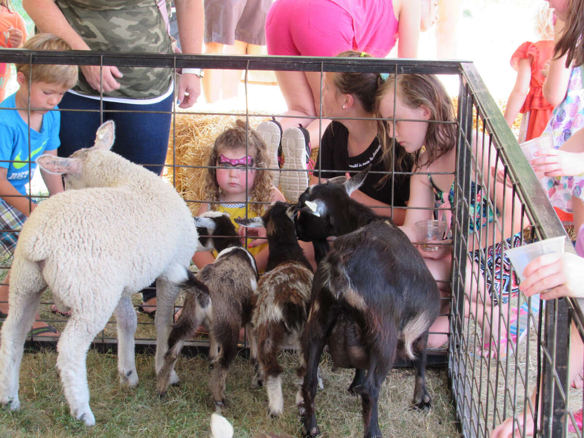 Children pet and feed goats and sheep at a petting zoo exhibit at the Riverdays Festival on Aug. 3, 2019 in downtown Midland. (Mitchell Kukulka/Mitchell.Kukulka@mdn.net)