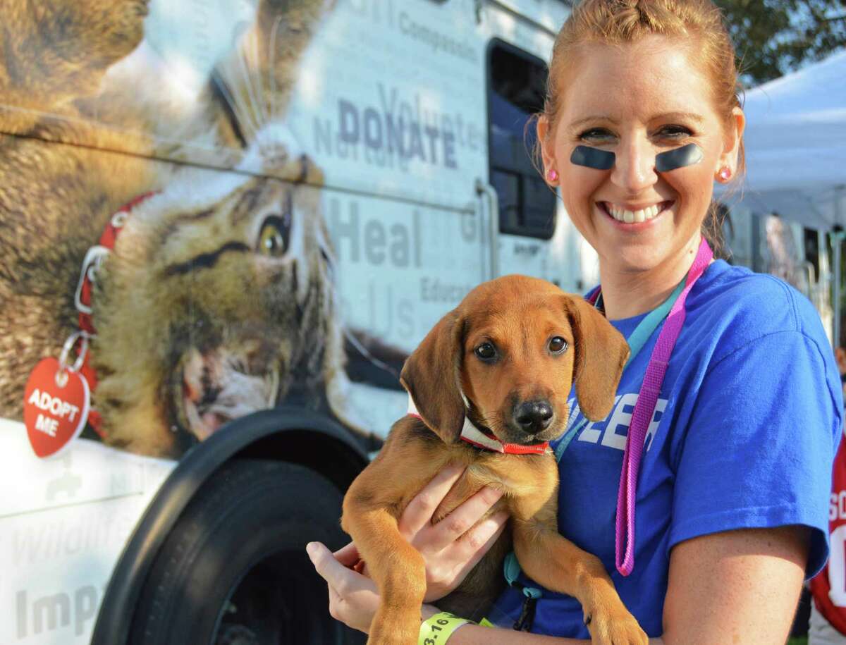 Kids volunteer to help animals through Houston SPCA