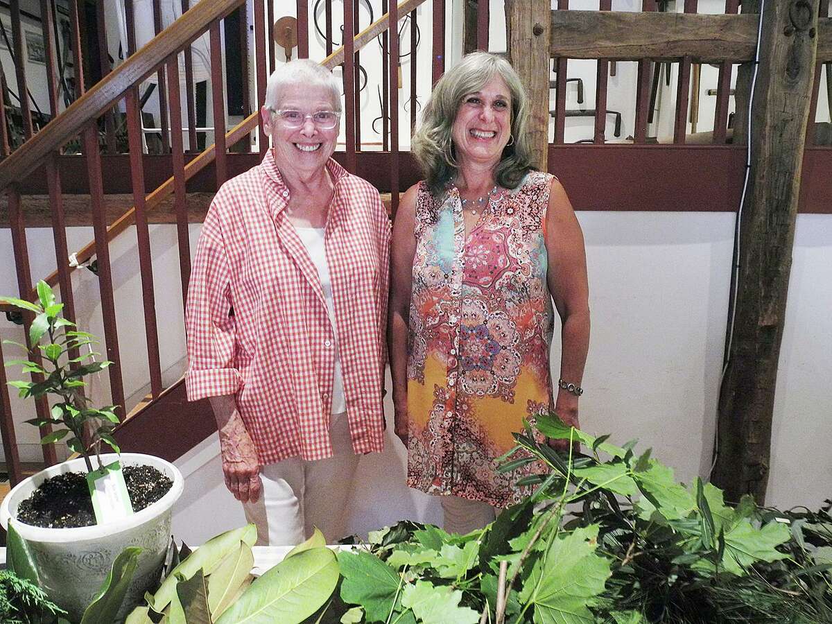 Linda Engel, left, and Dana Weinberg show off leaves, bark, and spices produced by trees that have a variety of medicinal, culinary, and other purposes at the Wilton Historical Society.