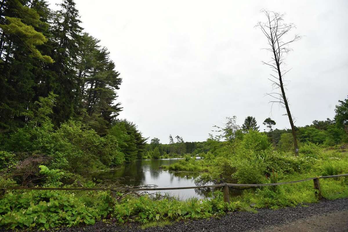 Townbytown How many electric cars are in Connecticut?