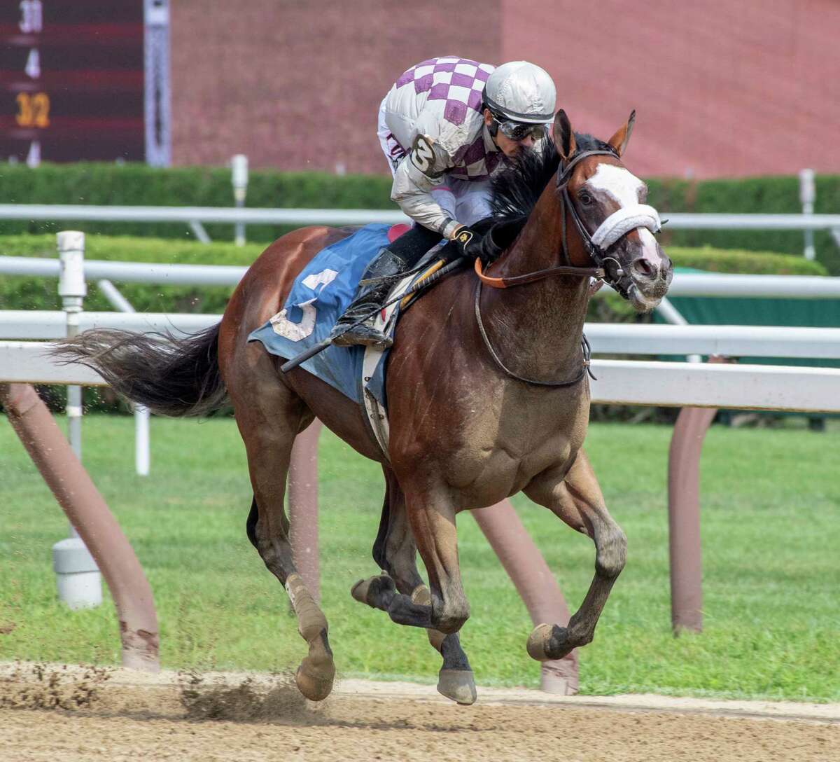 Tiz the Law was throttled back after building a commanding lead by jockey Junior Alvarado to win the 5th race on the card at the Saratoga Race Course waiting to watch one of his horses to work Thursday Aug. 8, 2019 in Saratoga Springs, N.Y. Managing partner of Sacktoga Stables who owns Tiz the Law said in the winner?•s circle that this horse was second best horse he has had in the stable. Sackatoga was the owner of Kentucky Derby and Preakness winner Funny Cide who was also trained by Barclay Tagg. Photo Special to the Times Union by Skip Dickstein