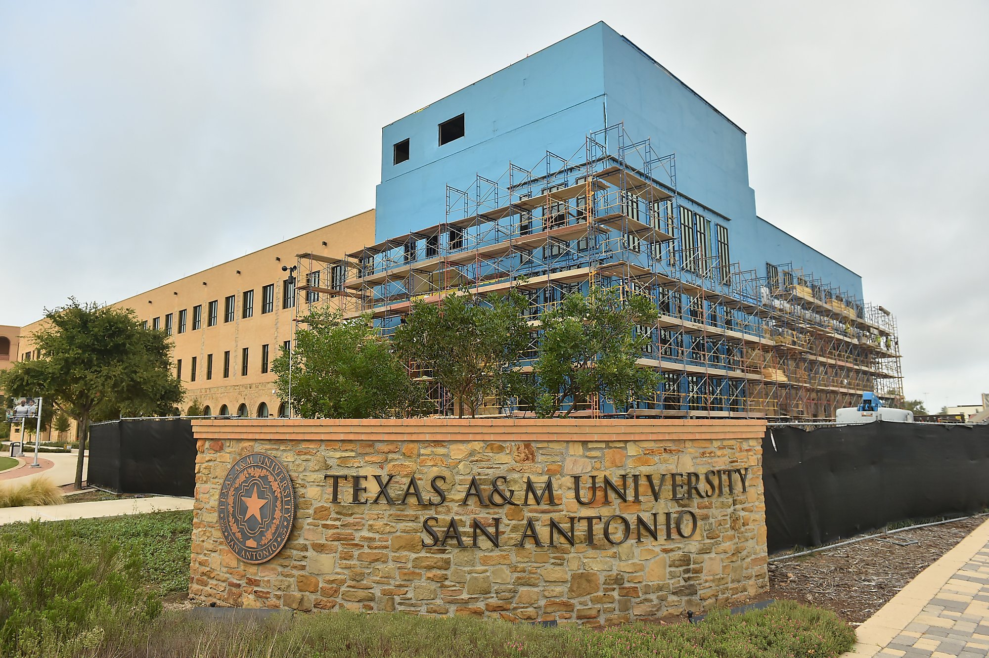 Texas A&M San Antonio Greek life could grow