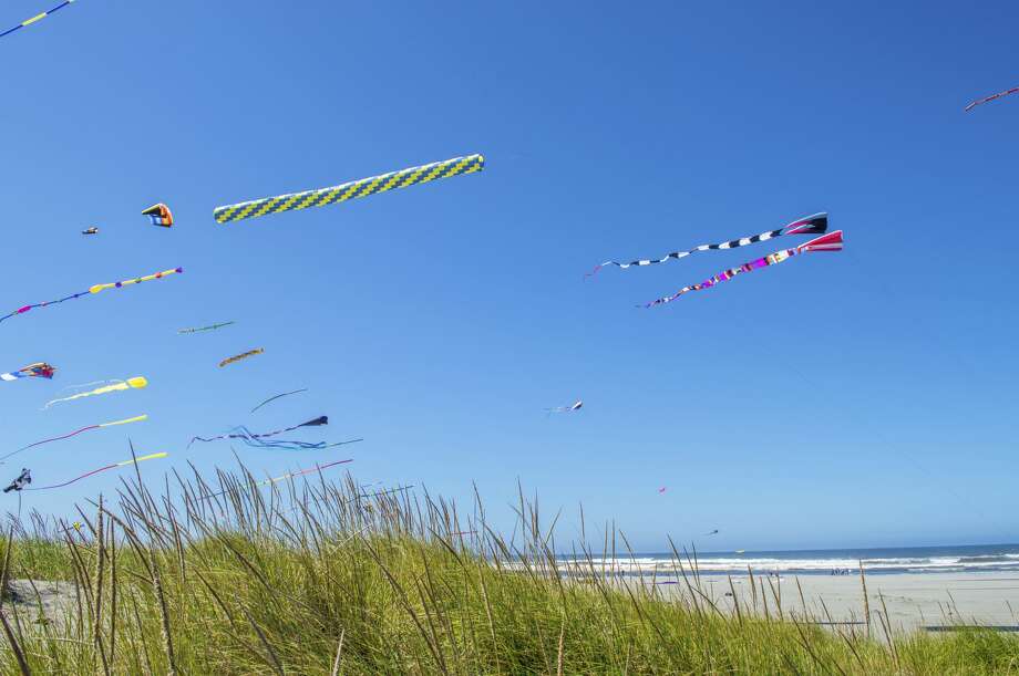 Road Trip Go Fly A Kite Down On Washingtons Long Beach