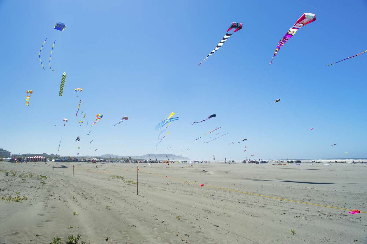 Kites flying on the sky at the Long Beach Kites Festival in Washington.