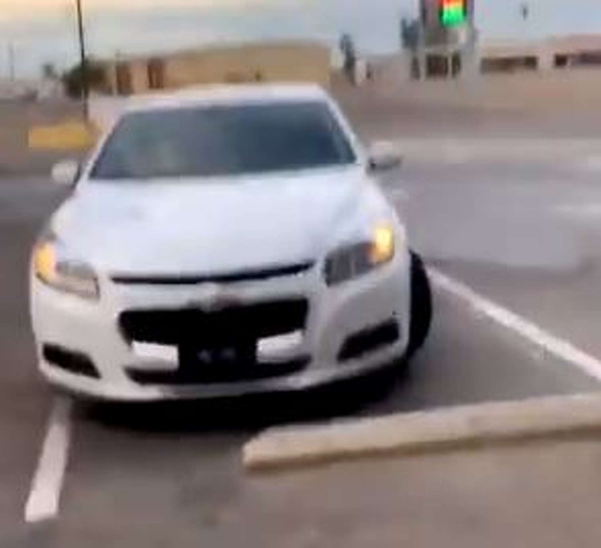 Viral video shows Munchkin the dog honking car horn at his owner to