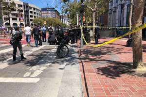 BART police officer shoots, wounds unleashed dog at Civic Center