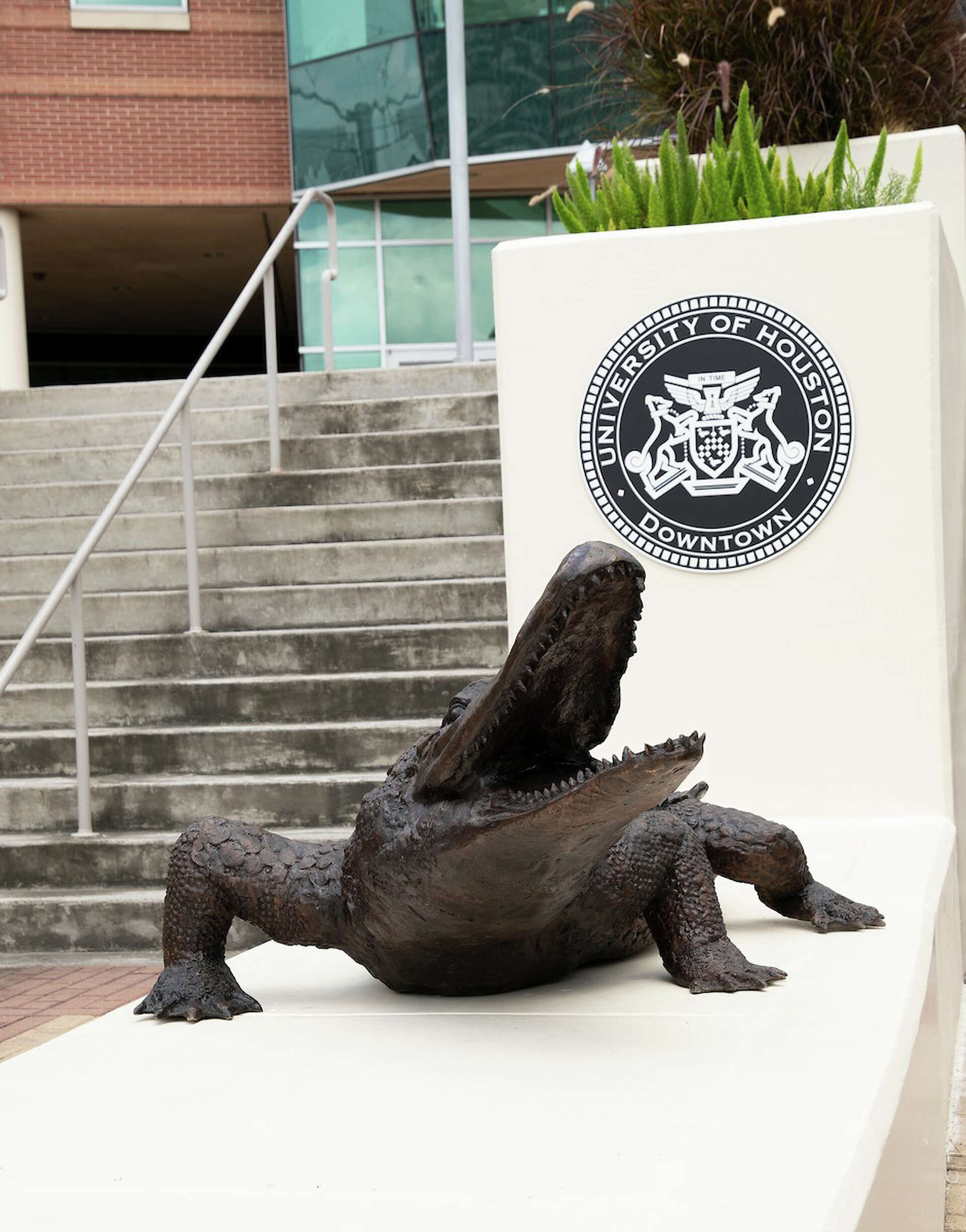 Allen the alligator display picture 1
