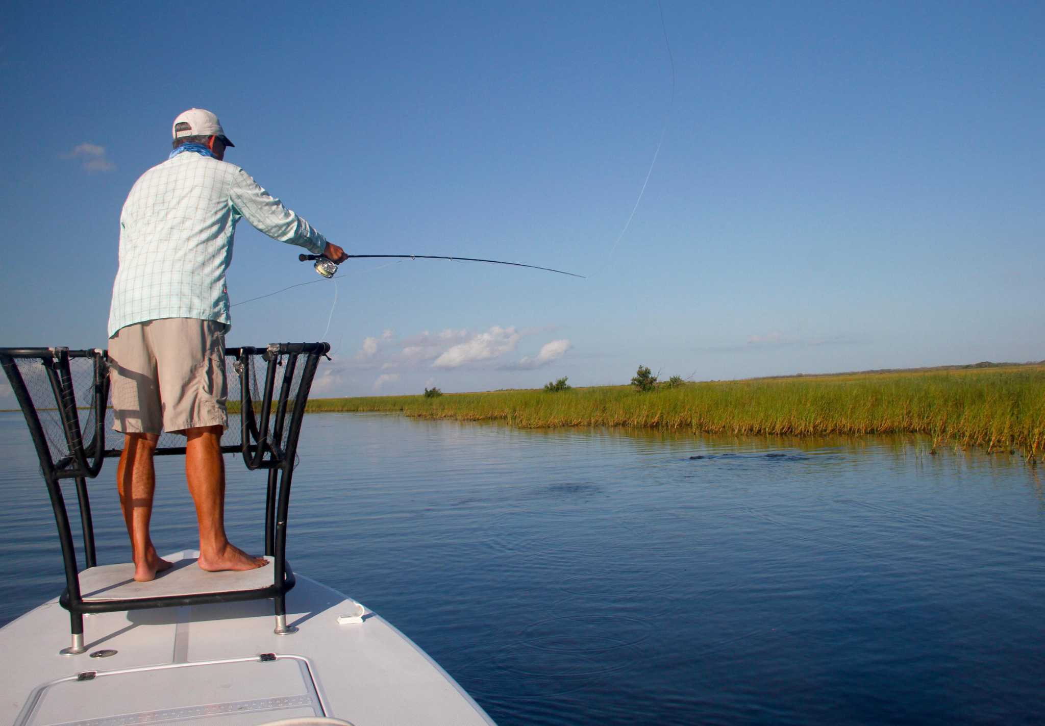 Opinion When hurricanes temporarily halt fishing, marine food webs recover quickly