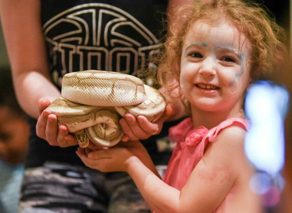 A child holds a ball python from Gator Country during AMSET's Summer Family Arts Days event Saturday at the museum. Photo taken on Saturday, 8/10/19. Ryan Welch/The Enterprise