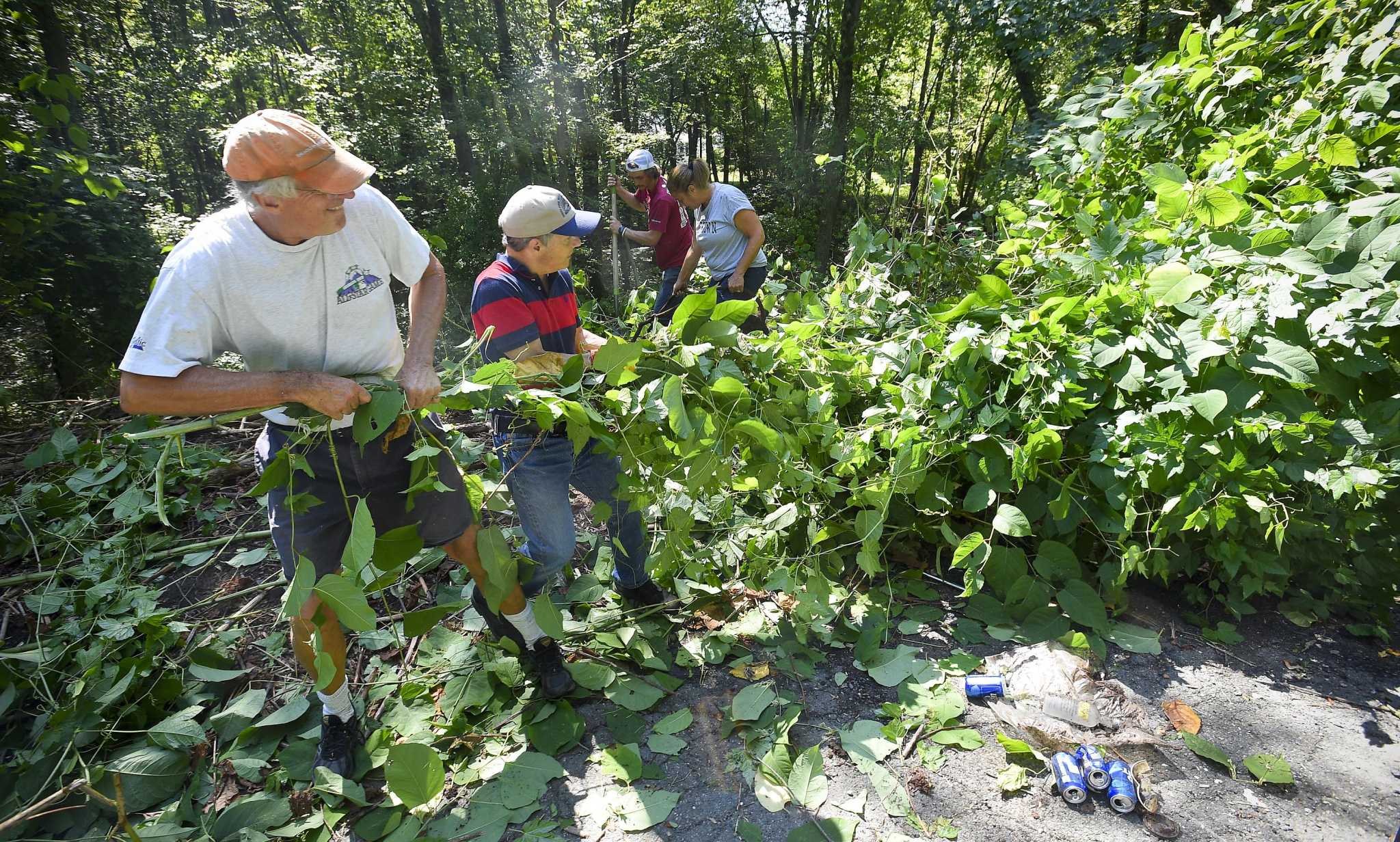 stamford-ok-s-plan-for-studying-managing-invasive-species-in-parks