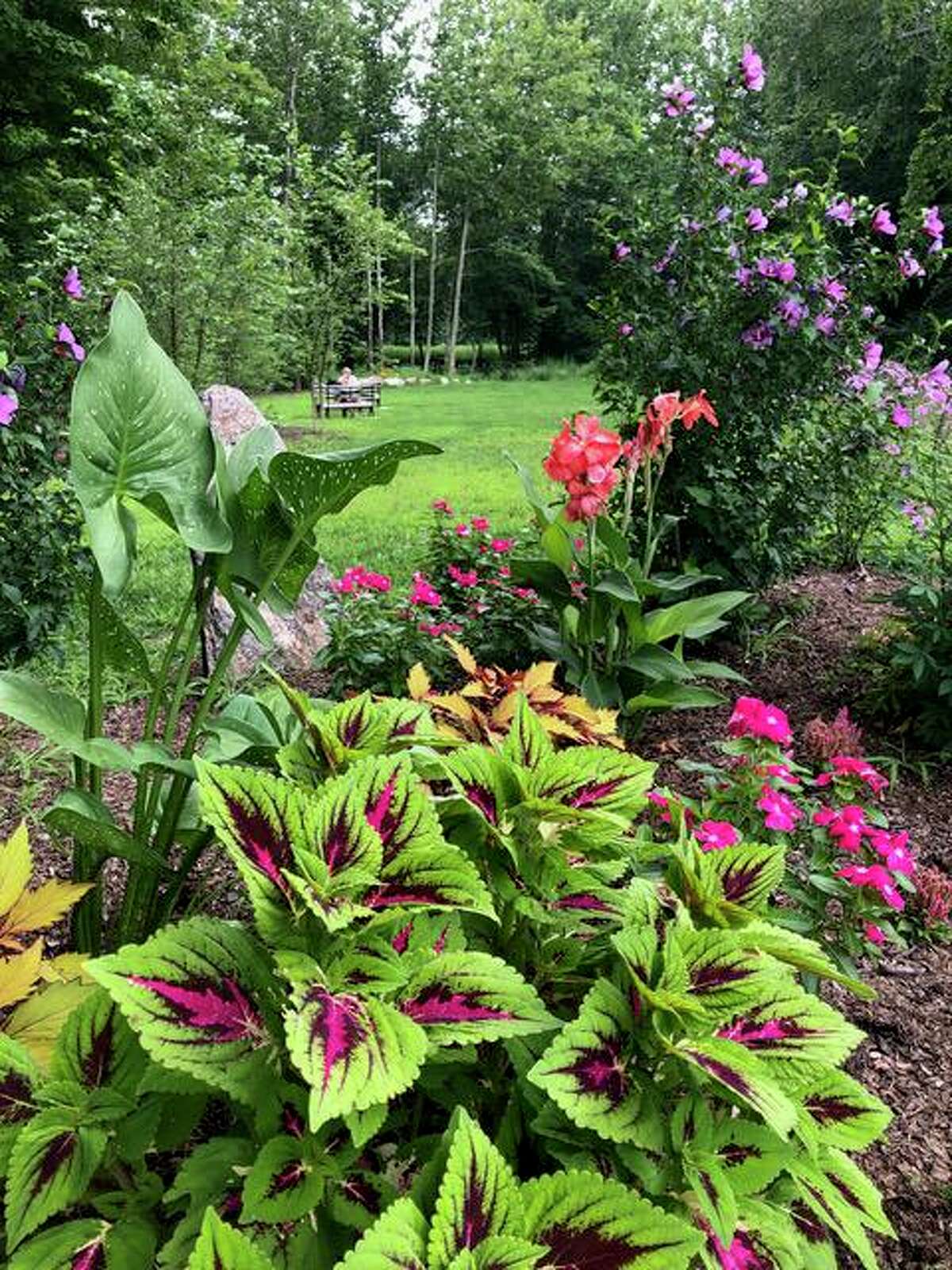 The garden planted and maintained by the Wilton Garden Club at the Chess Park on River Road offers a bucolic place to sit and a colorful view to those walking or driving by.