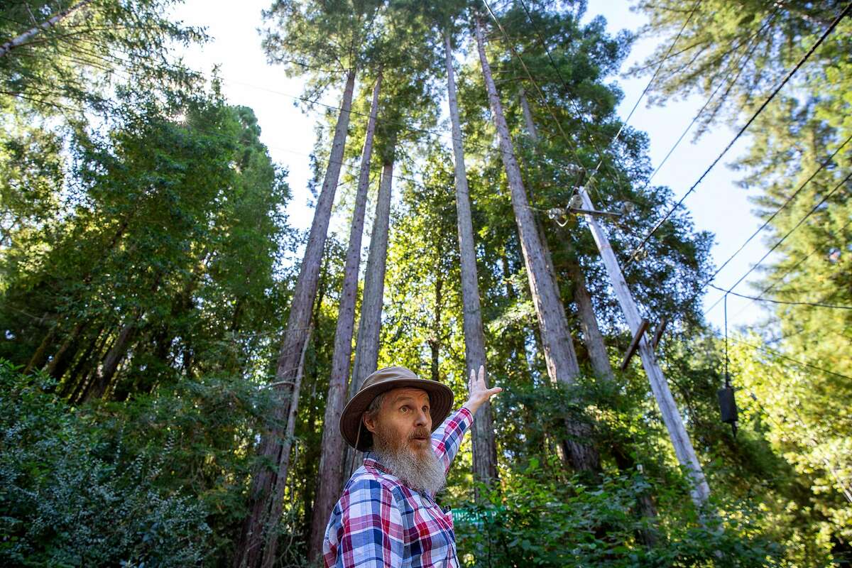 Richard Seamen points to the area where trees were cut down on Wednesday, Aug. 7, 2019, in Camp Meeker (Sonoma County), Calif. PG&E is cutting down trees near lines to reduce fire danger. Camp Meeker residents are upset that the crews are cutting down and limbing too many redwoods.