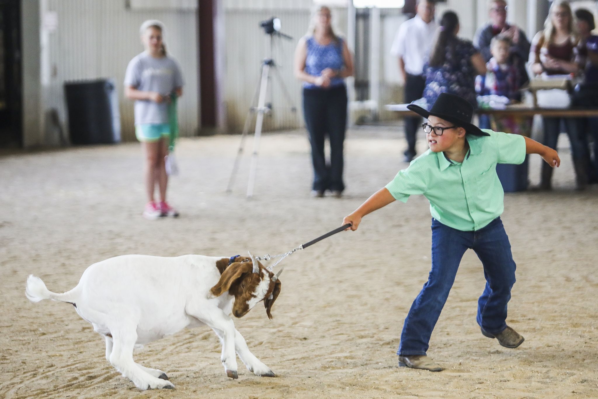 Small animal auction at Midland County Fair Aug. 14, 2019