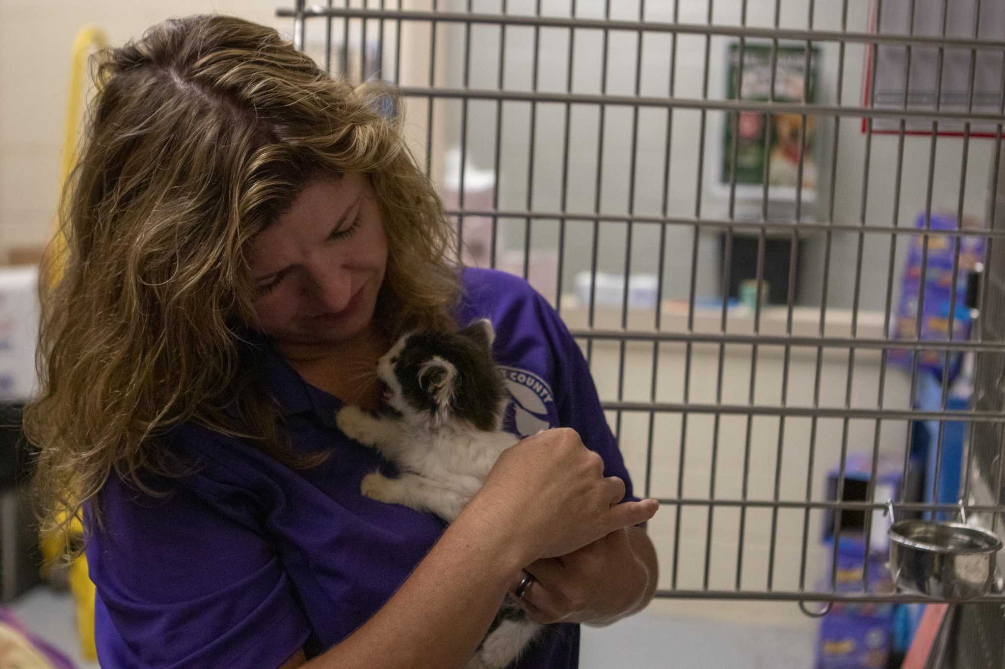 Montgomery County Animal Shelter officials are hosting adoption event ...