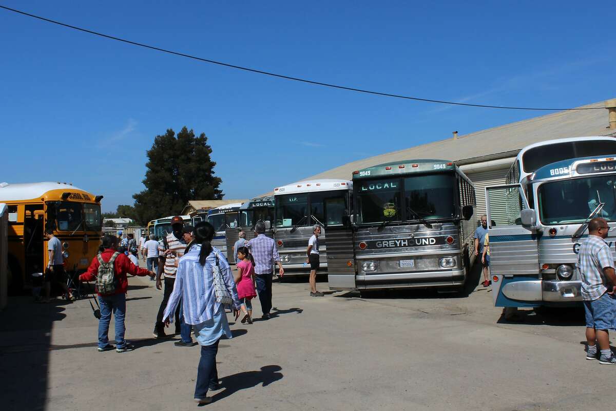 Patrons of the Pacific Bus Museum in Fremont, California saunter amount the buses on display during the museum's annual open house fund-raising event on August 18, 2018.