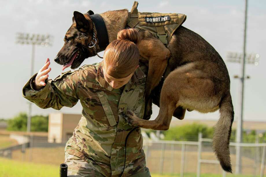 military-working-dogs-handlers-stick-together-nellis-air-force-base