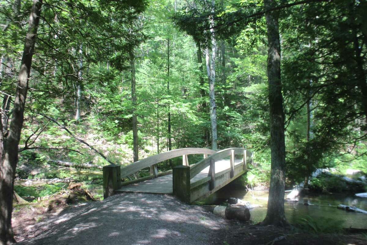 Ransom Lake Natural area offers quiet wooded lake, creek
