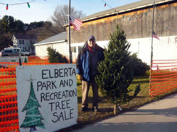 Christmas trees on sale now