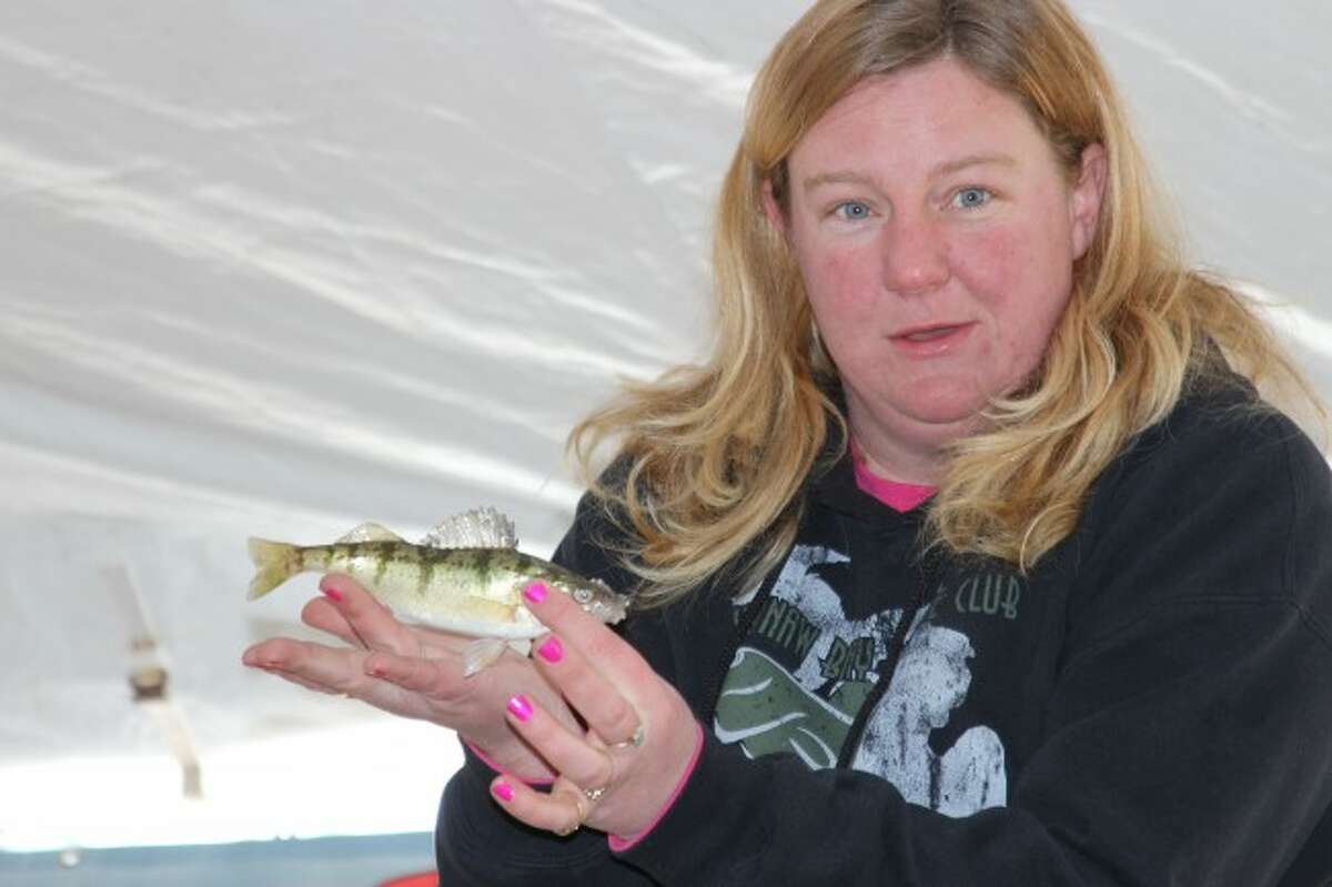 MONSTER CATCH: Laura Shorkey, of the Saginaw Bay Walley Club, prepares to weigh one of the entries in the perch category for King of the Ice fishing tournament, which was held on Crystal Lake Saturday as a fundraiser for The Lighthouse Neurological Rehabilitation Center.