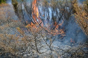 Dry conditions across the state increase the risk of accidental fires