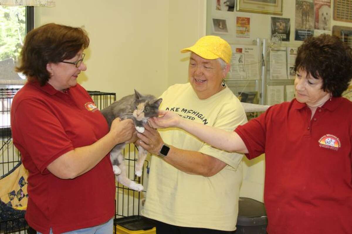 Animal Welfare League celebrates 40 years