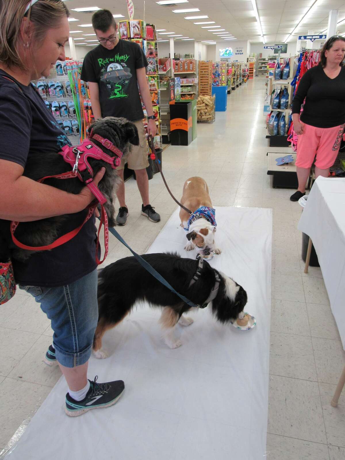 Dogs of all ages and breeds participated in the fourth annual Dog Fro-Yo Eating Contest on Saturday, Aug. 17 at Soldan's Pet Supplies in Midland.