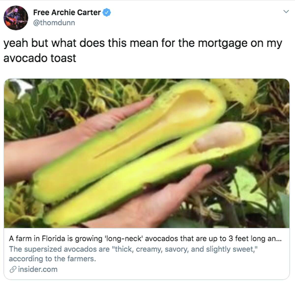 These giant avocados grown in Florida cost up to 15 each