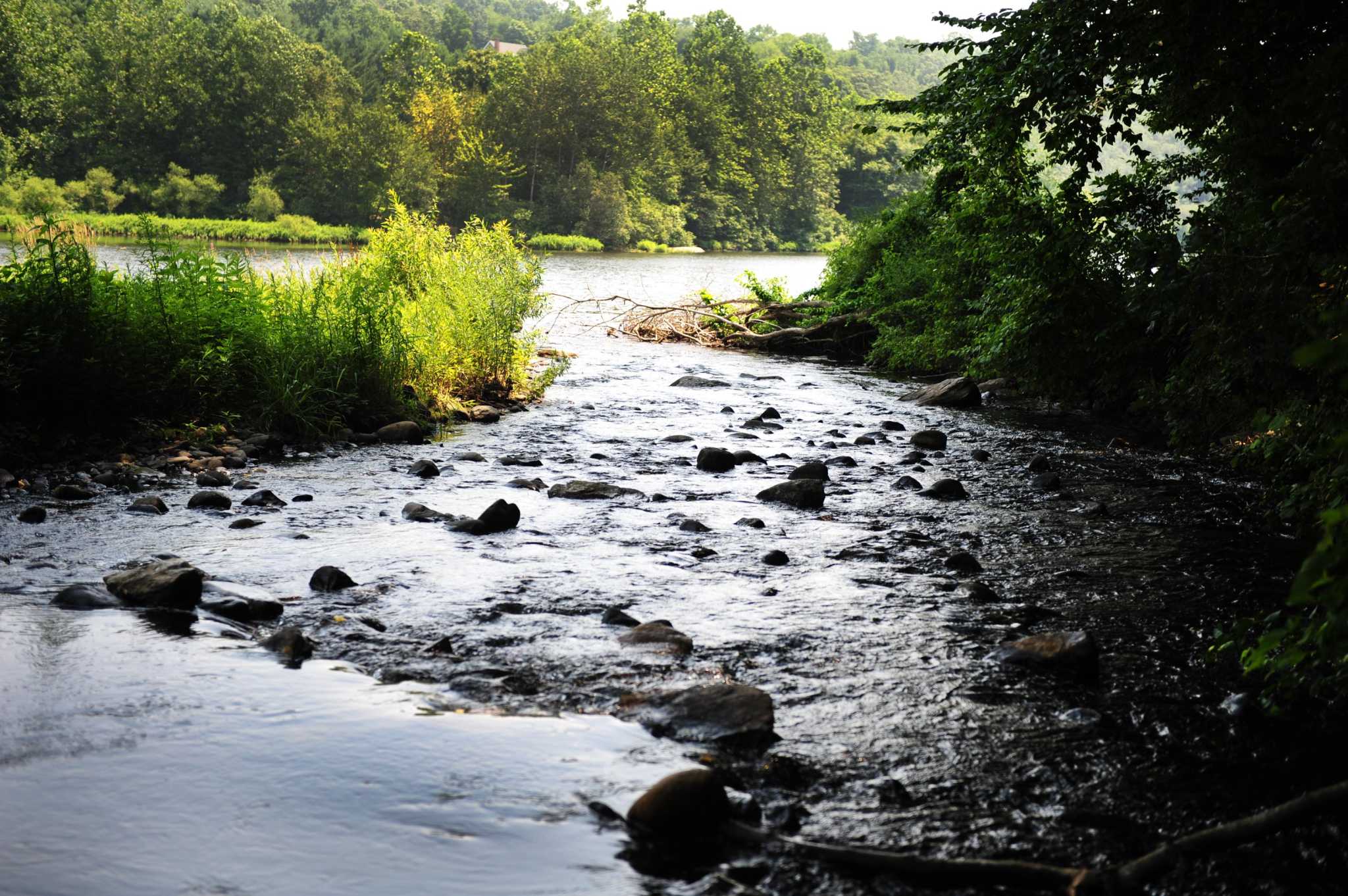 Swimmer pulled from the water in Fairfield