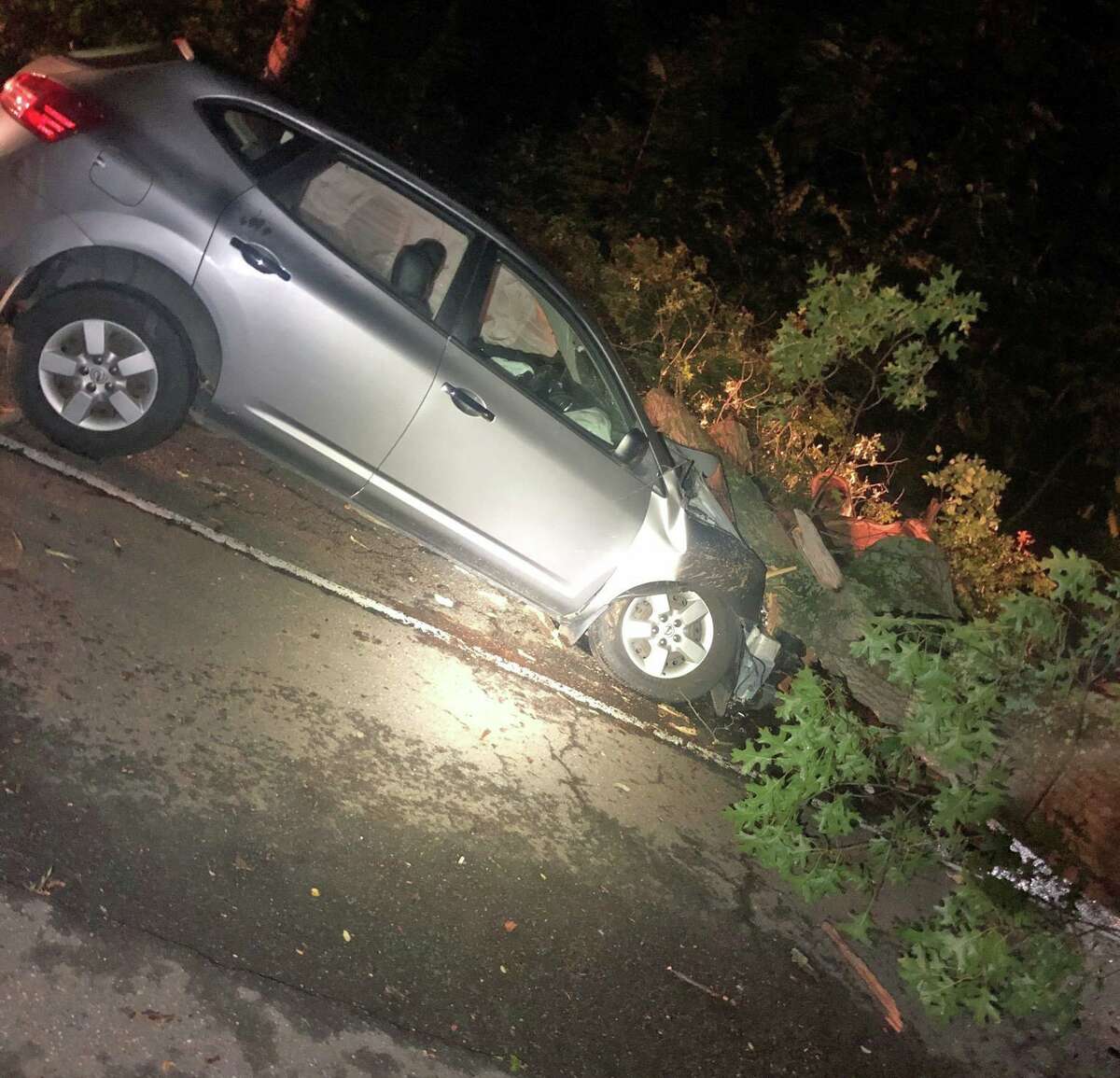 top 92+ Pictures a tree fell and blocked traffic. it fell onto the road. Stunning