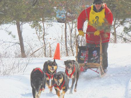 Dog Racing For Fun led dog racing offers fun time