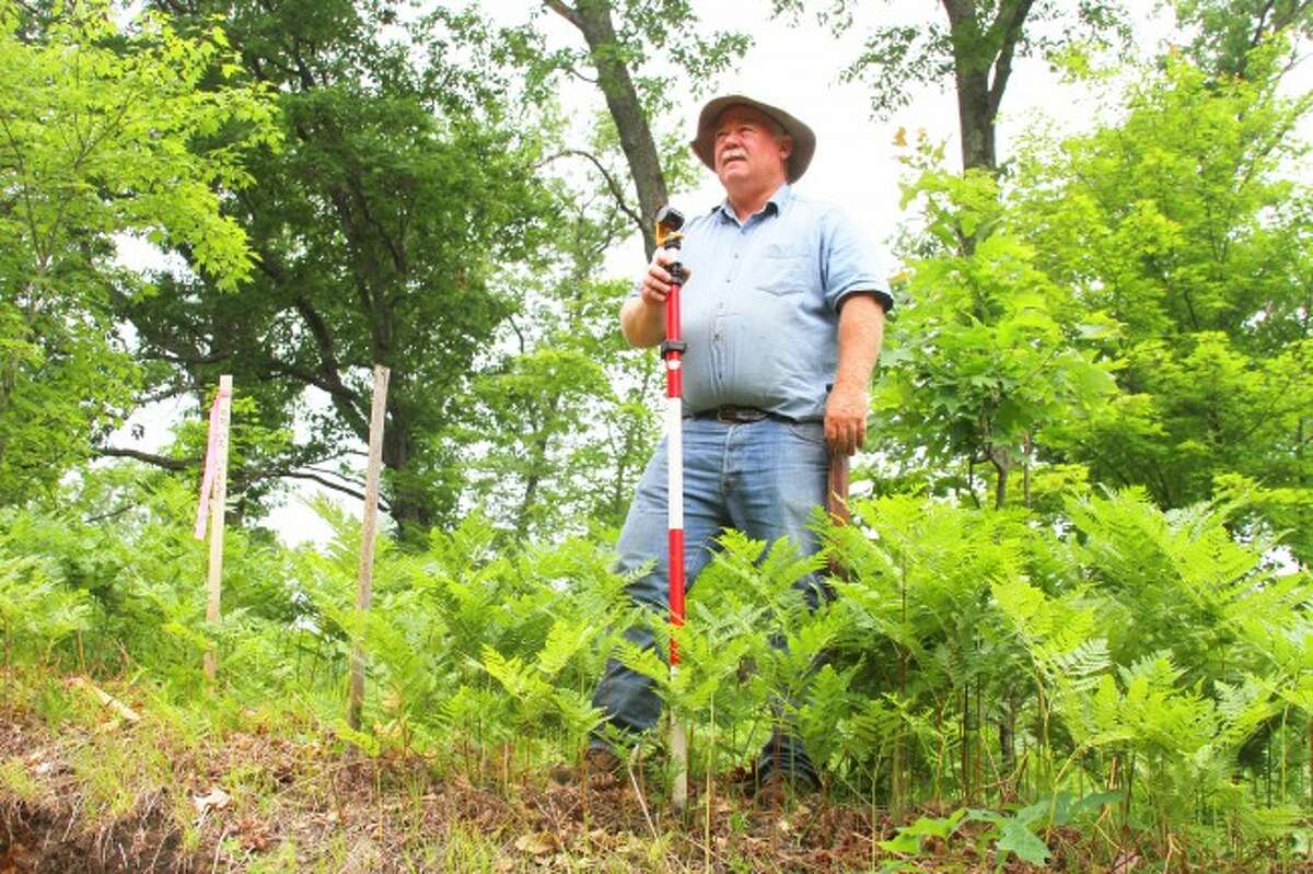 Michigan DNR license surveyor Craig McVean helps measure and stake the three-acre plot where the Gould family cemetery sits in Pinora Twp. last Tuesday.