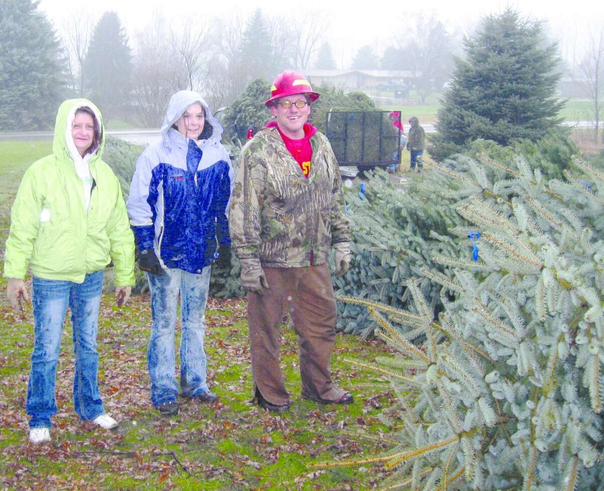 FiveCAP to give away free Christmas trees