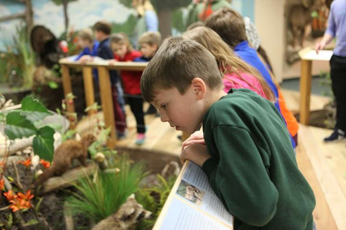 Students on a school trip browse the Michigan exhibit at the Card Wildlife Education Center in Big Rapids. The center, along with museums and zoos, offer fun options for trips throughout spring break. (Herald Review file photo)