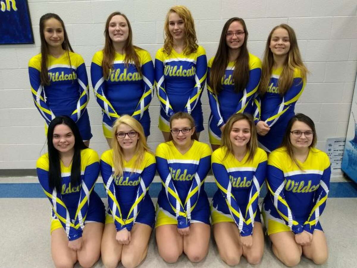 The 2018-19 Evart competitive cheer team, front, from left, Kirissa Deacons, Leigha Walters, Abbi Boyd, Carlie Gostlin and Mariah Fisher; back row, from left, Mari Flachs, Hannah Moore, Kaitlyn Roberts, Kenzie Daniels and Zandrea Geranen. (Courtesy photo)