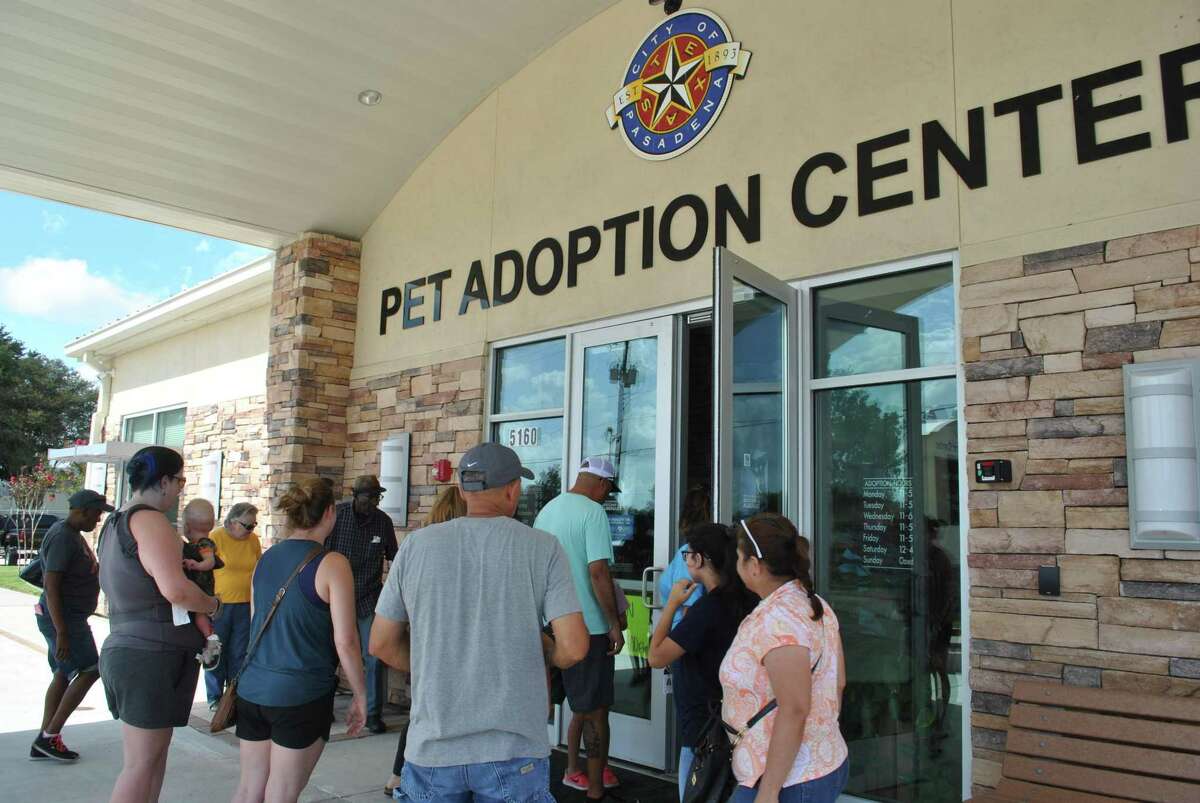 Pasadena shelter breaks record for pet adoptions