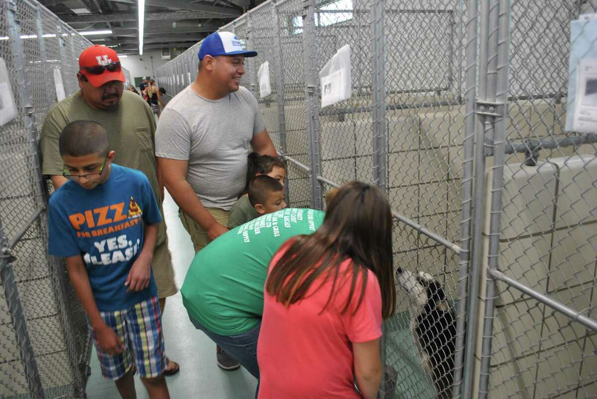 Pasadena shelter breaks record for pet adoptions