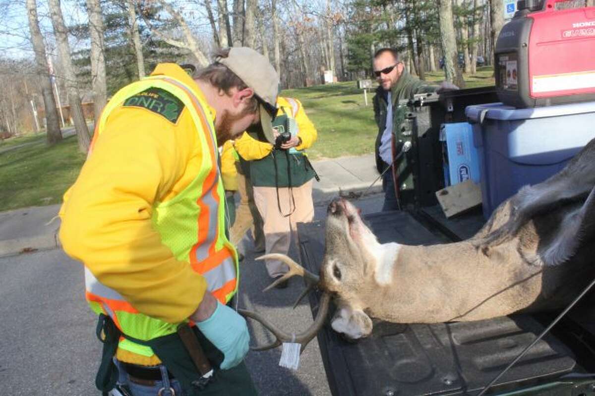 There's a DNR check station in Reed Ciry.