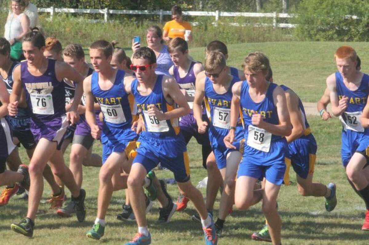 Evart's boys cross country team had another big season.